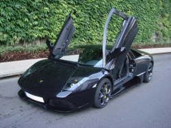 murcielago.jpg